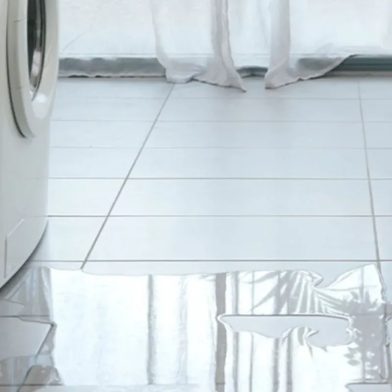 Appliance Leak Cleanup in Longview, WA
