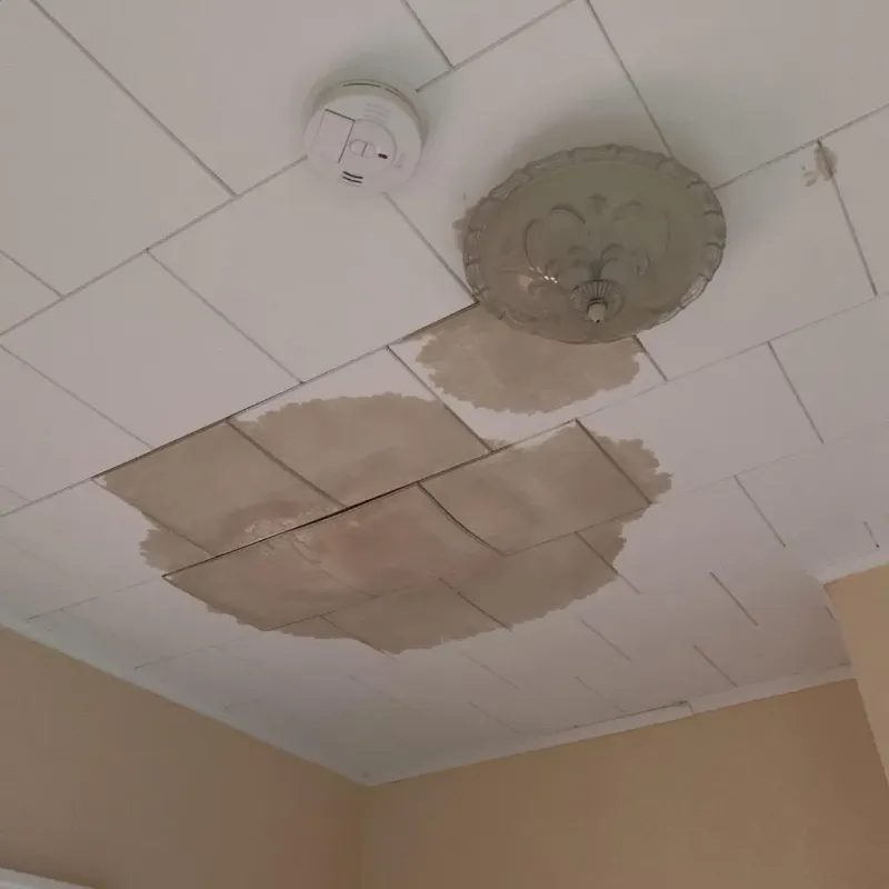 Ceiling Water Damage Repair in Longview, WA